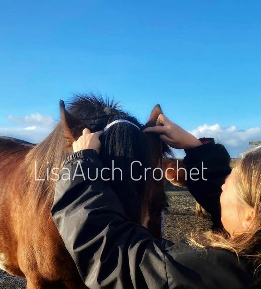how to crochet a horse hat - equestrian gift ideas