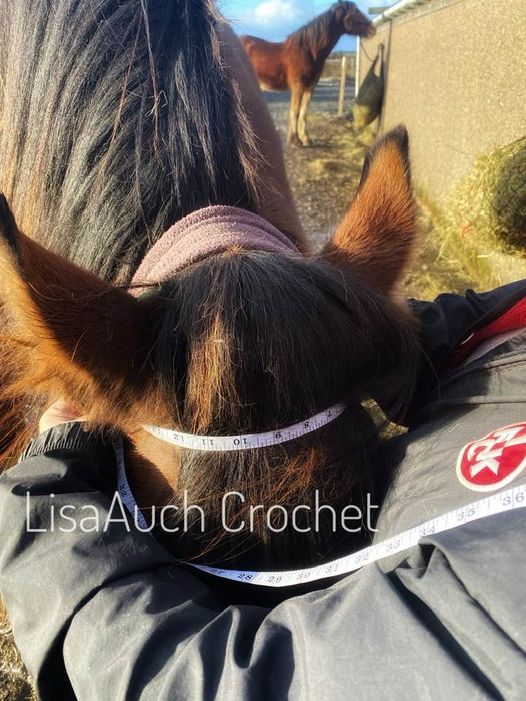 crochet hat for horse how to measure 
