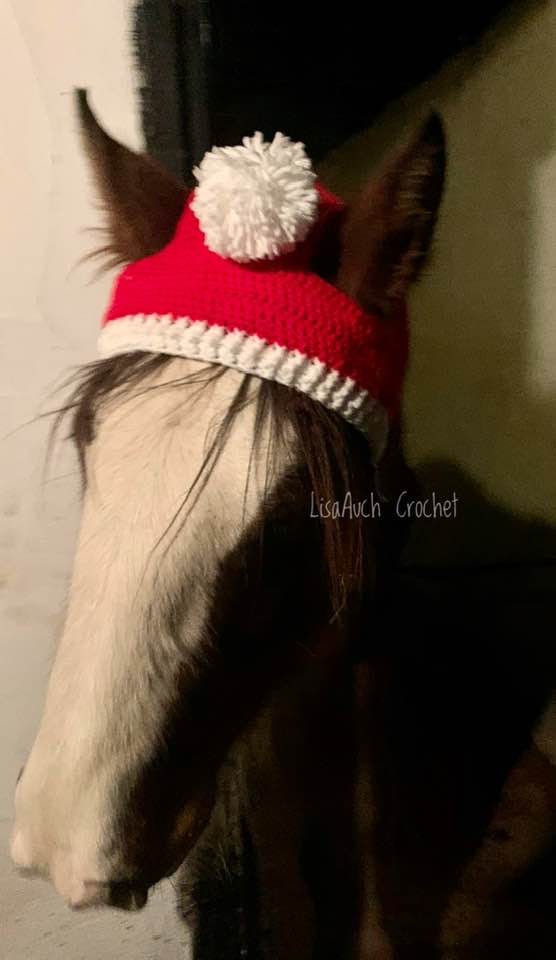 crochet a hat for a horse free pattern