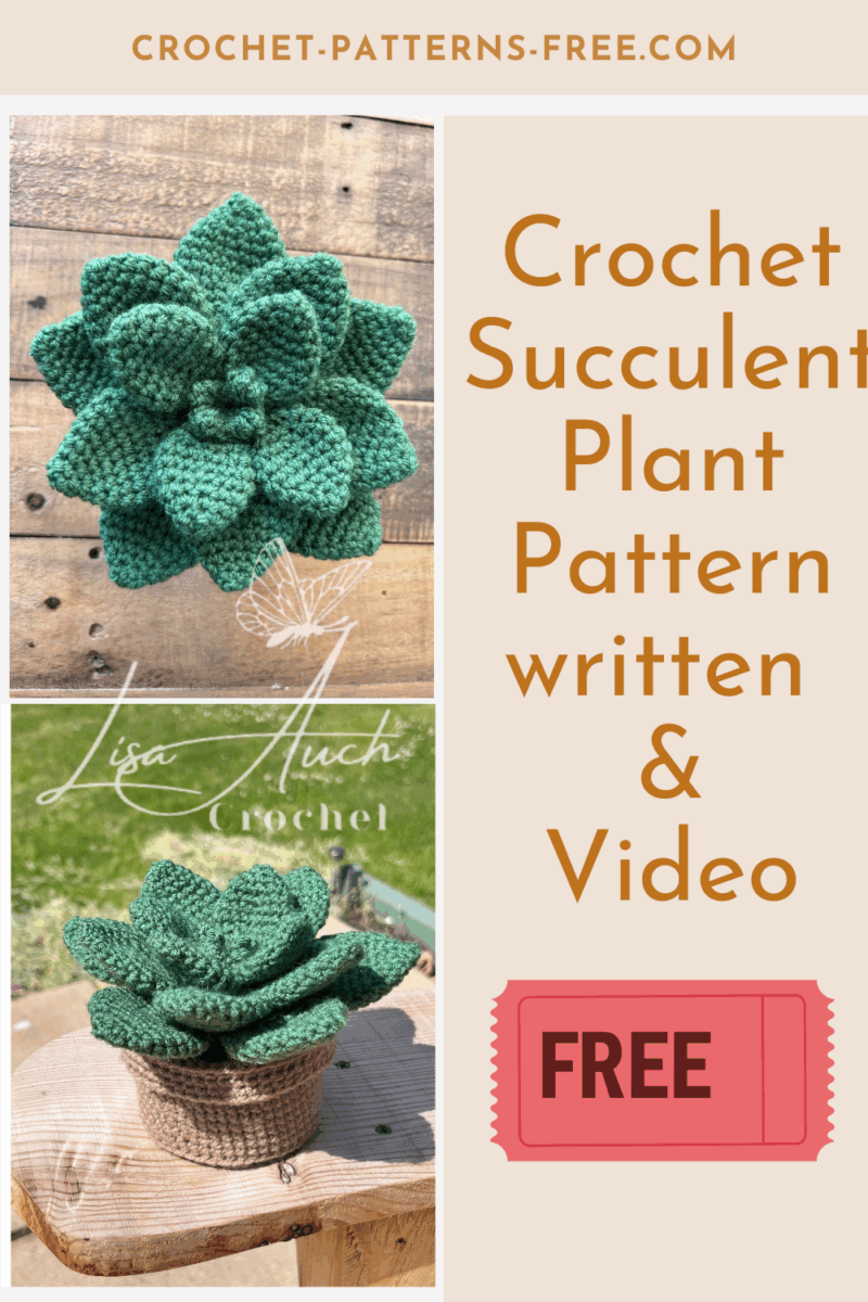 crochet succulent pattern easy crochet succulent pattern easy
