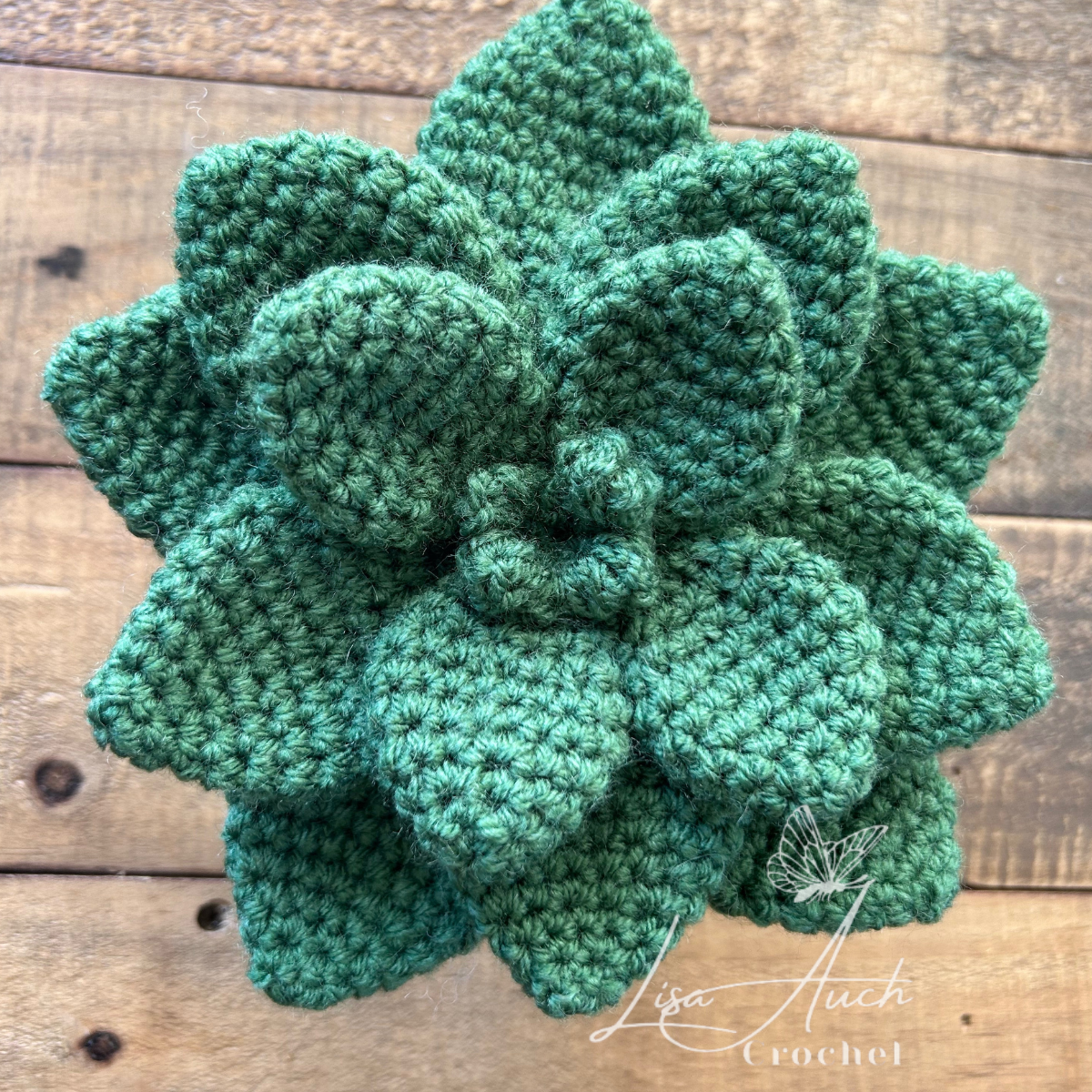 succulent crochet pattern free