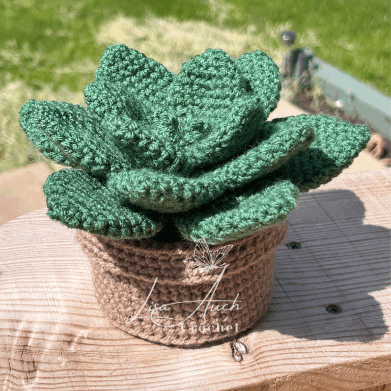 easy crochet succulent plant pattern free