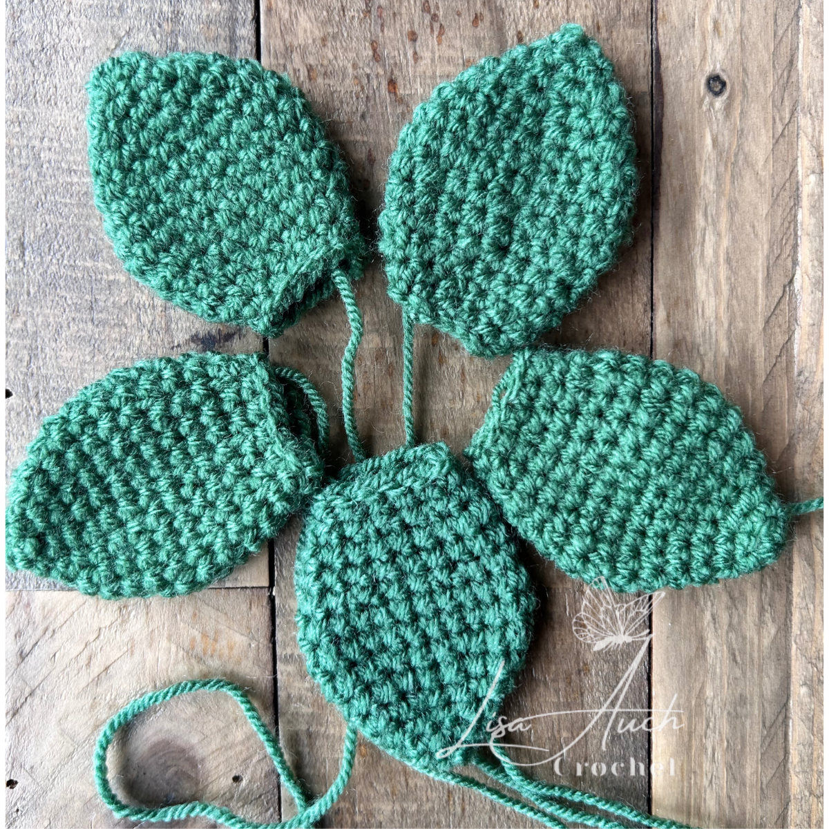 showing How to crochet a Succulent Plant in a pot! 5 Large crochet succulent leaves