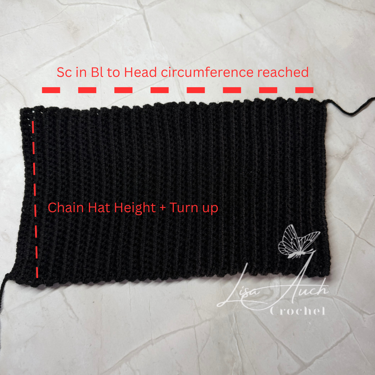 Confident‑beginner crochet baby cat hat worked in rows with back‑loop stitches, shown in newborn baby hat size.