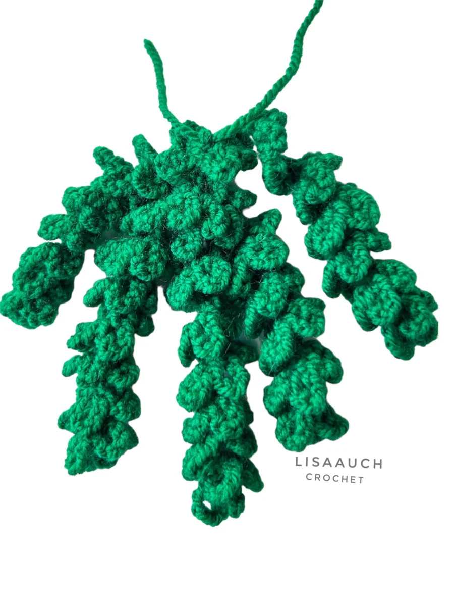 3 Mini Crochet Succulent Patterns FREE! Crochet Hanging Vines Hearts &  trailing Vines in mini pots