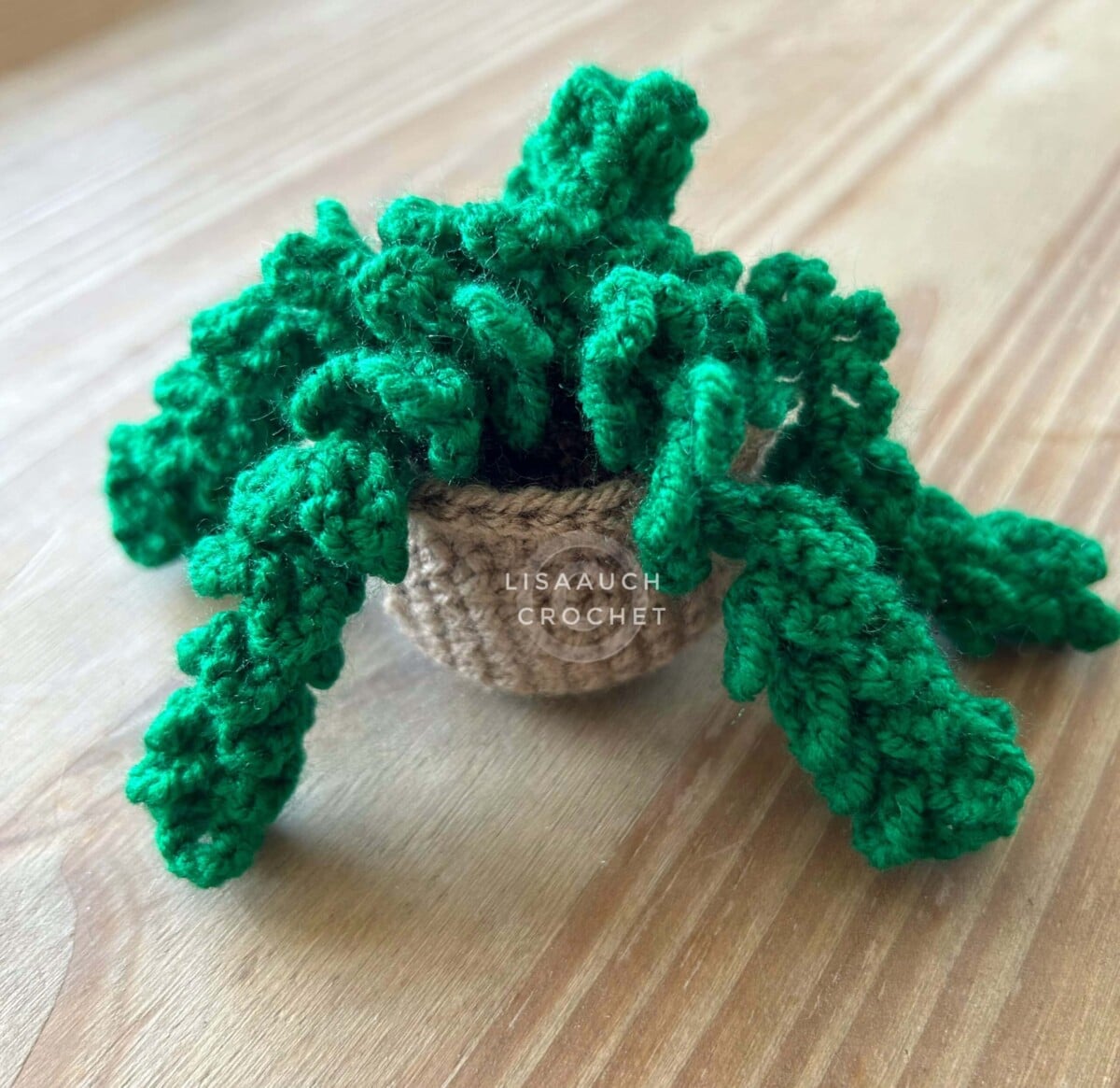 3 Mini Crochet Succulent Patterns FREE! Crochet Hanging Vines Hearts &  trailing Vines in mini pots