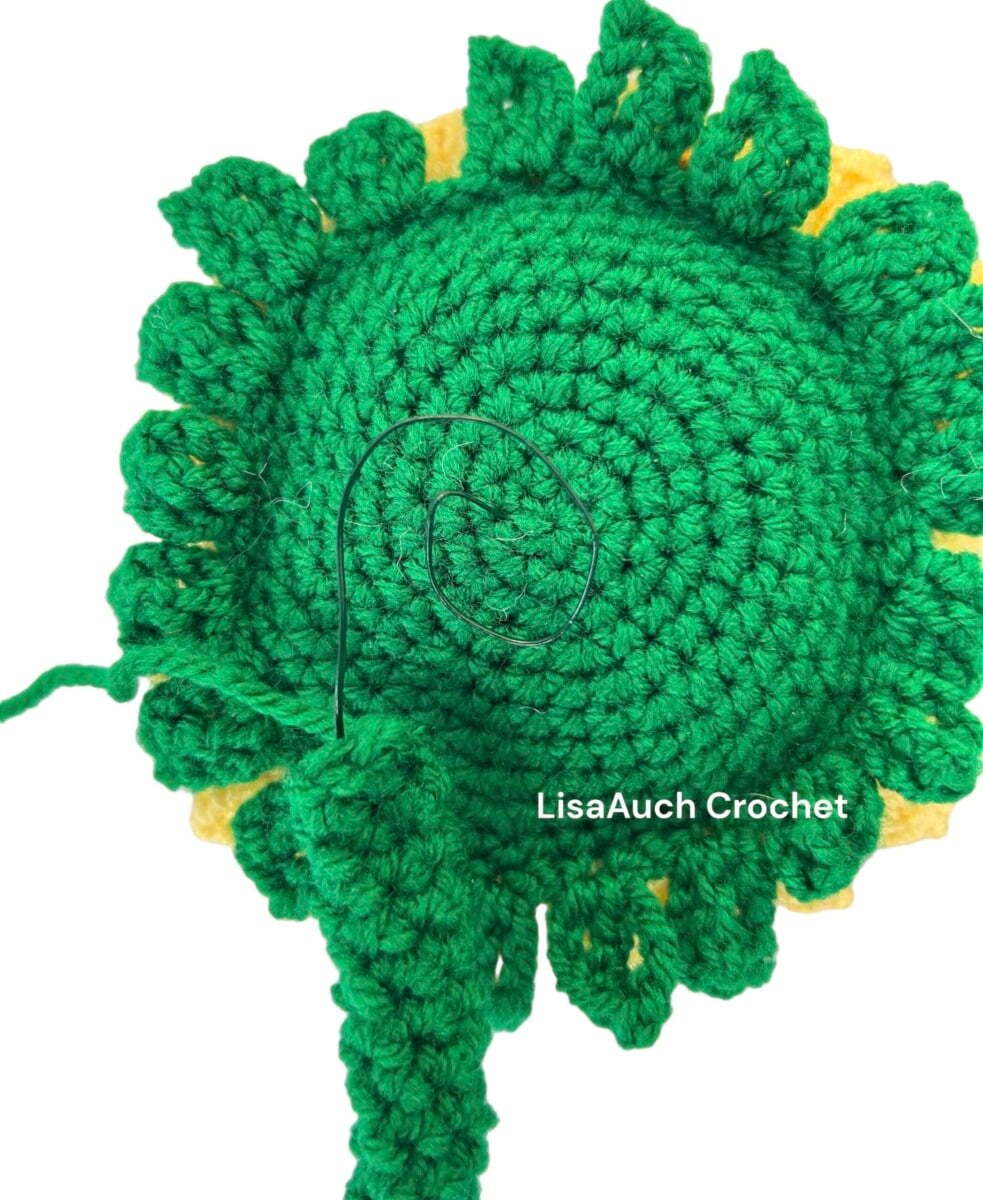 How to crochet a sunflower free pattern